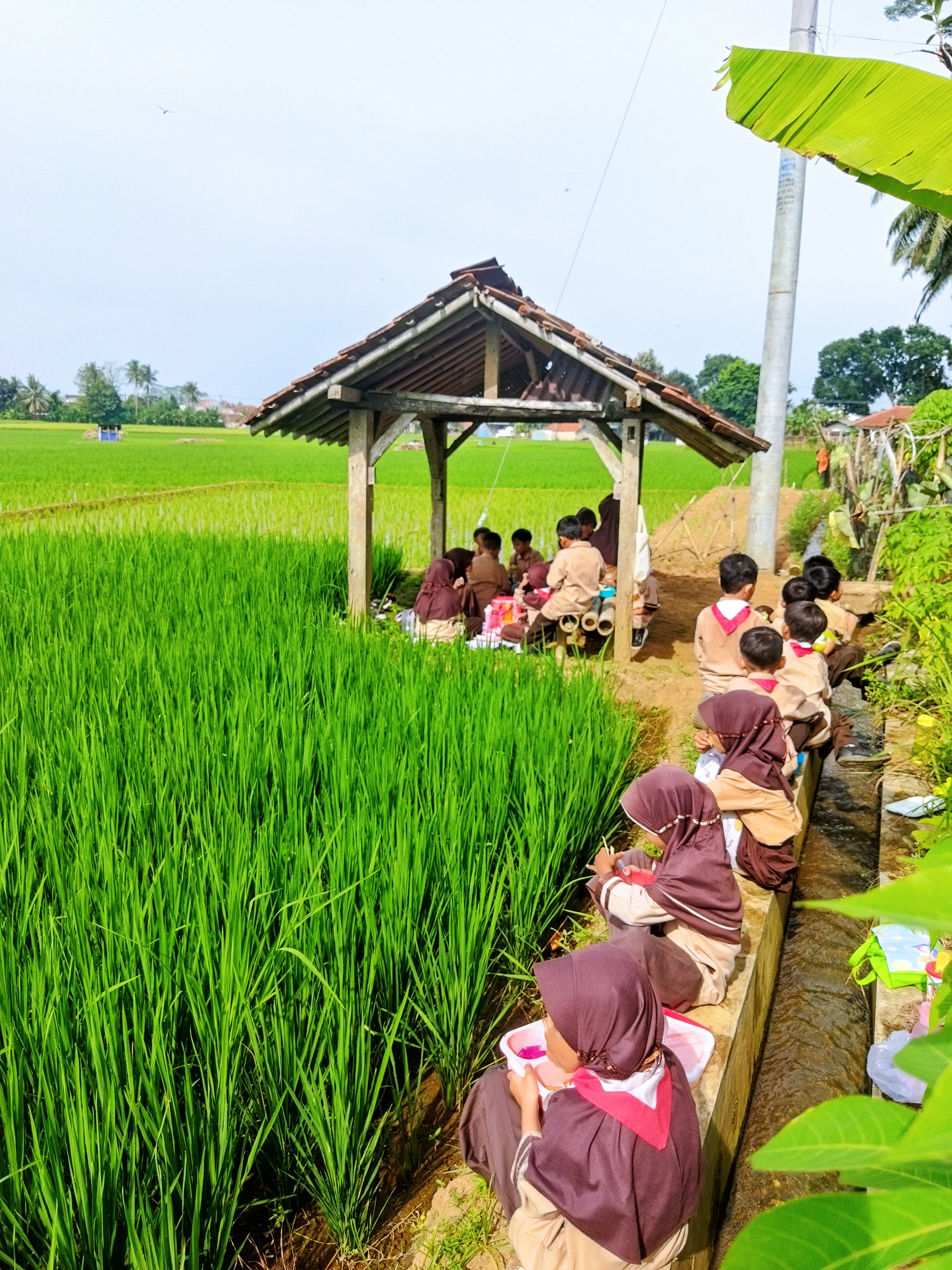 Makan Bersama di Sawah